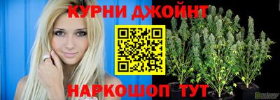 индика Конаково