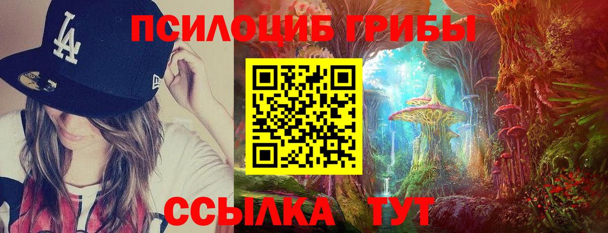 Уссурийск  Псилоцибиновые грибы Psilocybe  Вход с VPN 